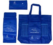 Reusable Shopping Bag