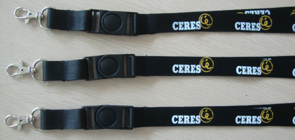 custom lanyard, silkscreen printing