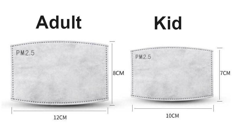 pm2.5 filter