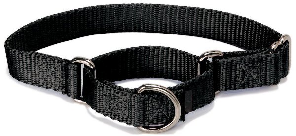 custom dog collar, pet supplies wholesale