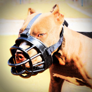 dog muzzles wholesale