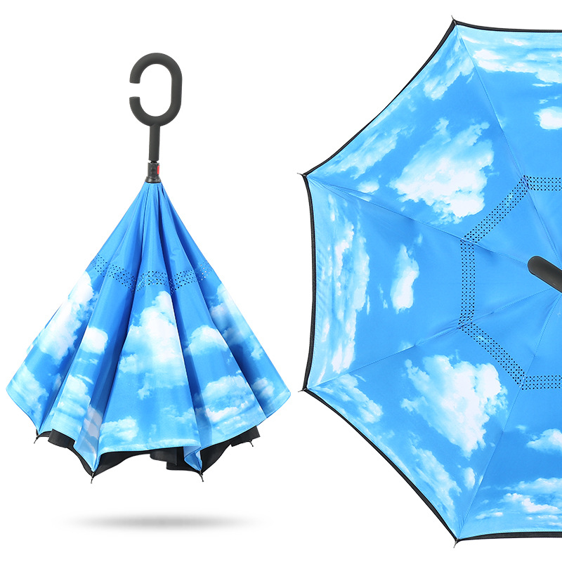 Inverted Umbrellas