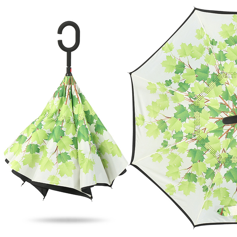 Inverted Umbrellas