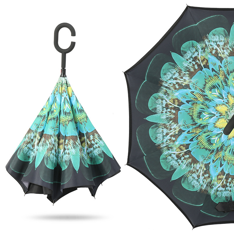 Inverted Umbrellas